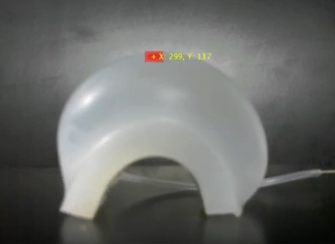 Robiolab